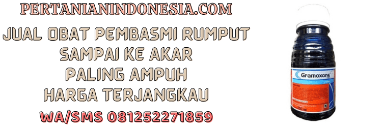 jual,murah,terjangkau,toko pertanian terdekat,pertanian indonesia